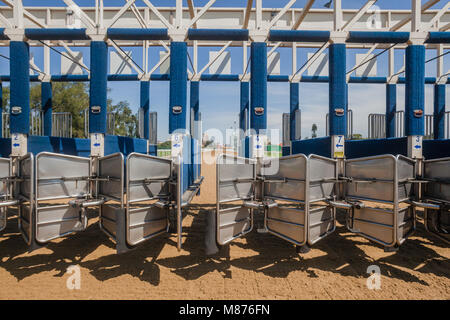 Les courses de chevaux à l'intérieur du compartiment de la porte de départ pour chaque cheval et jockey course prêt pour l'action. Banque D'Images