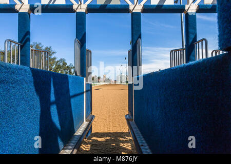 Les courses de chevaux à l'intérieur du compartiment de la porte de départ pour chaque cheval et jockey course prêt pour l'action. Banque D'Images