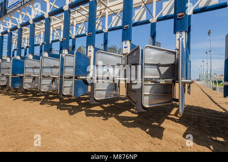 Les courses de chevaux à l'intérieur du compartiment de la porte de départ pour chaque cheval et jockey course prêt pour l'action. Banque D'Images