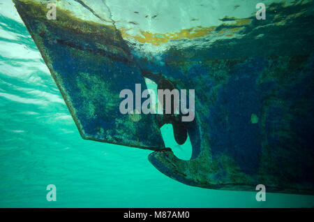 Photo sous-marine de l'hélice sur un dhoni (bateau maldivien) avec Black-spot Sergent poisson, Abudefduf sordidus, Bathala, aux Maldives. Banque D'Images