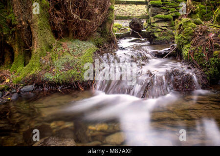 Otley Beck coule vers le bas dans la commune de Lowick Crake Valley avec de petites sources et ruisseaux tels que cette adjonction à son volume comme il va. Cette par Banque D'Images