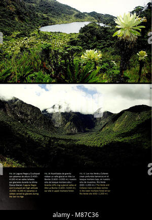 Le *Ecuador - Cabeceras Cofanes-Chingual* (2009) est un rapport documentant des études écologiques dans la région équatorienne de Cofanes-Chingual. Le rapport met en lumière la biodiversité, les défis de conservation et l'impact des activités humaines sur l'environnement local. Banque D'Images