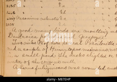 Edward W. Gifford expédition Galápagos journal, 1905-1906 (inclus). (20532329190) Banque D'Images