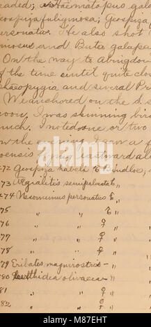 Edward W. Gifford expédition Galápagos journal, 1905-1906 (inclus). (20534426299) Banque D'Images