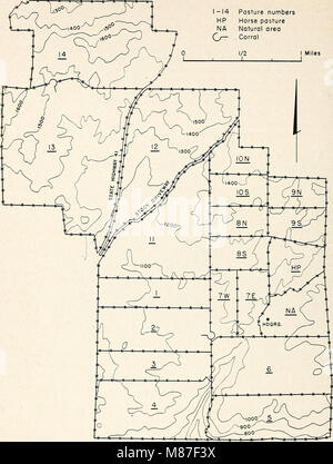 L'utilisation efficace des plantes annuelles sur les bovins dans les contreforts de la Californie (1951) (21164502386) Banque D'Images