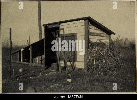 L'argent des oeufs, comment l'augmenter ; un livre d'information complète et fiable sur la plus rentable la production d'œufs sur le terrain en ville, le village d'acre et la ferme (1907) (21199780731) Banque D'Images