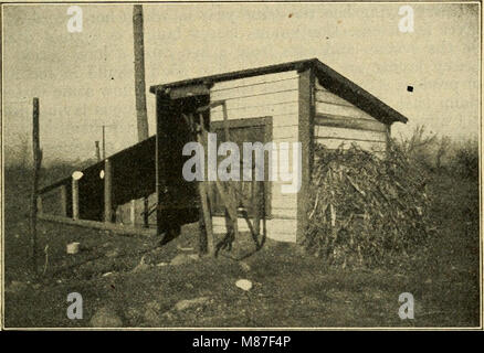 L'argent des oeufs, comment l'augmenter ; un livre d'information complète et fiable sur la plus rentable la production d'œufs sur le terrain en ville, le village d'acre et la ferme (1908) (21199950191) Banque D'Images