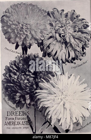 La 72e édition annuelle Dreer jardin livre - 1910 (1910) (14592555830) Banque D'Images
