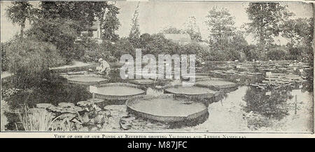 La 72e édition annuelle Dreer jardin livre - 1910 (1910) (14593901367) Banque D'Images