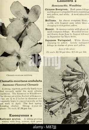 Un catalogue 1936 offrant une variété de bulbes, plantes, arbustes et graines adaptés à la plantation d'automne. Il comprend des descriptions détaillées et des conseils de plantation pour les jardiniers qui cherchent à améliorer leurs jardins d'automne. Banque D'Images