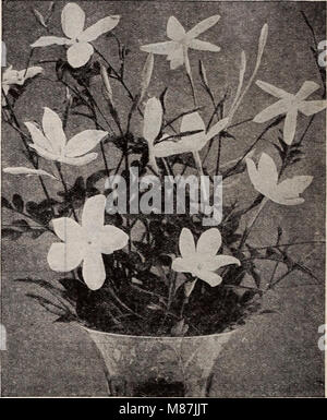 Le catalogue 1937 de Dreer se concentre sur les bulbes, les plantes, les arbustes et les graines idéales pour la plantation d'automne. Il fournit des conseils et des suggestions de jardinage pour la préparation des jardins pour la saison d'automne, mettant en vedette diverses espèces de plantes adaptées aux climats plus frais. Banque D'Images