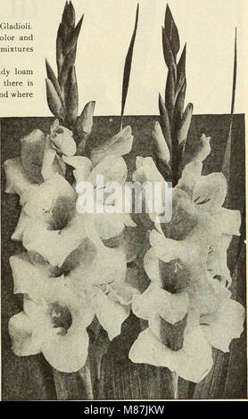Dreer's garden livre - soixante-quatrième édition annuelle 1912 (1912) (14590037518) Banque D'Images