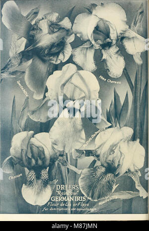 Dreer's garden livre - soixante-quatrième édition annuelle 1912 (1912) (14776852665) Banque D'Images
