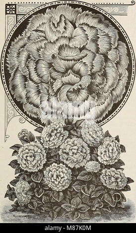 *Dreer's Garden Calendar for 1892* est un catalogue offrant une large sélection de graines de légumes, de champs et de fleurs, ainsi que des variétés rares et nouvelles de plantes, des outils de jardin et des engrais, conçu pour les jardiniers à la recherche de produits horticoles de qualité. Banque D'Images