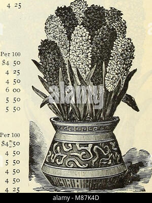 Dreer's Liste des prix de gros - bulbes plantes graines de fleurs, graines de légumes, graines de gazon, les engrais, les insecticides, les outils, etc (1903) (20867677738)