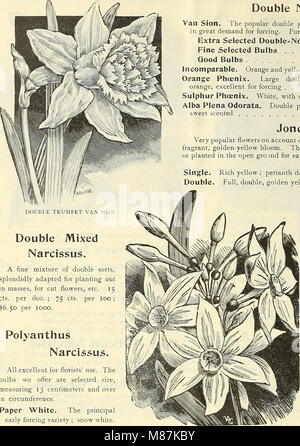 Dreer's Liste des prix de gros bulbes plantes - fleurs de saison et de légumes les engrais, les outils, etc., etc. (1904) (21030237346) Banque D'Images