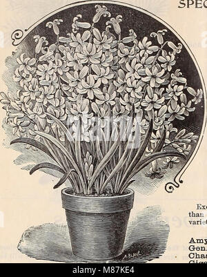 Dreer's Liste des prix de gros édition d'été de juillet à août 1900 de fleurs et de légumes de saison - semences, engrais, outils, etc., etc. (1900) (21061436501) Banque D'Images