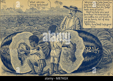 La Drumm Seed and Floral Company, fondée en 1899, est spécialisée dans la vente de semences, de plantes et de fournitures de jardinage. Il offrait une variété de graines pour les fleurs, les légumes et les arbres, servant à la fois les paysagistes professionnels et les jardiniers à domicile. Banque D'Images