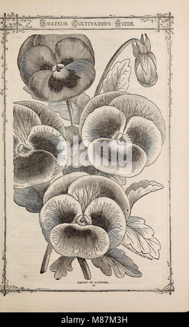 Fred E. Washburn's amateur guide du cultivateur à la fleur et potager pour 1880 (1880) (21003564978) Banque D'Images