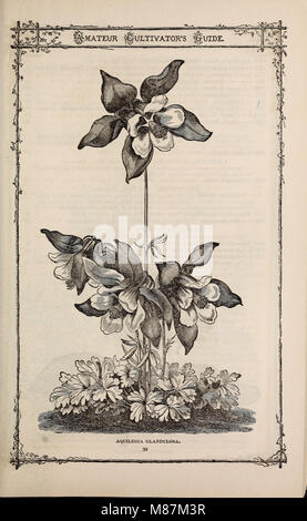 Fred E. Washburn's amateur guide du cultivateur à la fleur et potager pour 1880 (1880) (21199280431) Banque D'Images