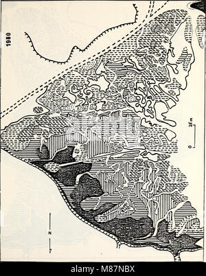 Étude écologique de la marée noire de l'Amoco Cadiz - rapport de la NOAA-Commission mixte scientifique CNEXO (1982) (20523939003) Banque D'Images