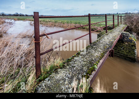 Pont sur la rivière Stour près de Marnhull, Dorset, England, UK Banque D'Images