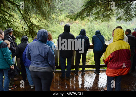 Les touristes sur la plate-forme d'observation de l'ours à la Fish Creek Wildlife Observation Site, dans la forêt nationale de Tongass, près de Hyder, Alaska. Banque D'Images