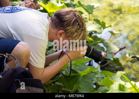 Jeune homme de prendre un gros plan photo d'une créature dans un étang. Il est à l'aide de matériel photo professionnel. Banque D'Images