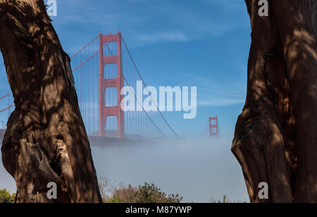 Bas épais brouillard formé sous le Golden Gate Bridge à San Francisco, Californie, États-Unis, sur une première matinée de printemps. Banque D'Images