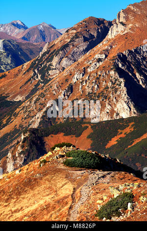 La Pologne, Tatras, Zakopane - Goryczkowa et col Tomanowa Spalona, Kopa, Krzesanica Czerwone Wierchy et l'Ouest avec des pics de montagne Tatra a sonné Banque D'Images