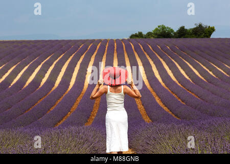 Femme en blanc vêtements floral avec un chapeau rose dans champ de lavande près de Valensole, Provence-Alpes-Côte d'Azur, France Banque D'Images
