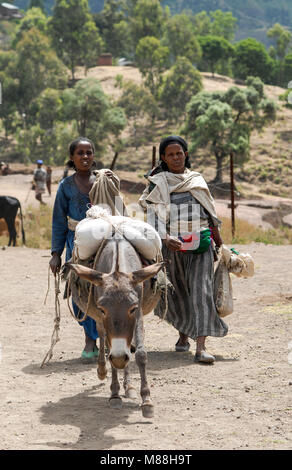 L'ETHIOPIE Lalibela, les gens des villages passe avec un âne au marché/ AETHIOPIEN Lalibela, Menschen aus den Doerfern mit Esel auf dem Weg zum Markt Banque D'Images