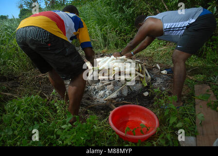 Préparation de Lovo, un repas traditionnel cuit dans le sol, Rakiraki, Fidji. Banque D'Images