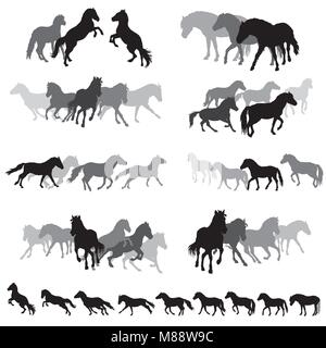 Groupe de noir et gris de silhouettes isolées de chevaux (poneys fjord norvégien) debout, marcher, courir isolé sur fond blanc. Illustra vecteur Illustration de Vecteur