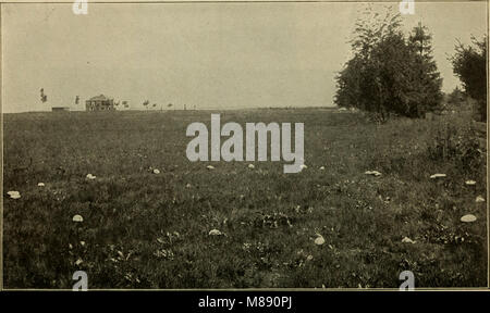 Publié en 1898, ce livre élémentaire de botanique introduit la science végétale. Il couvre les concepts fondamentaux de la botanique, y compris la classification, la structure et la reproduction des plantes, fournissant une base de base pour les étudiants et les débutants en biologie végétale. Banque D'Images