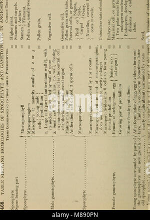 Ce manuel de 1898 présente les concepts botaniques de base, y compris les structures, les fonctions et les classifications des plantes. Il est conçu pour fournir des connaissances fondamentales de la biologie végétale et de l'écologie. Banque D'Images
