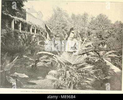 *Die Gartenkunst* (1901) est une publication consacrée à l’art et à la science du jardinage. Il couvre divers aspects de l'horticulture, de la conception des jardins, de la culture des plantes et de l'architecture paysagère. Banque D'Images