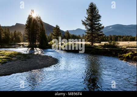 CA02896-00...CALIFORNIE - Le Tuolmne Tuolumne Meadows rivière serpentant dans le Parc National Yosemite. Banque D'Images