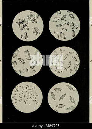 Essentials de diagnostic de laboratoire ; conçu pour les étudiants et les praticiens (1915) (14764282834) Banque D'Images