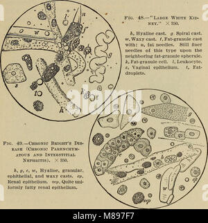 Essentials de diagnostic de laboratoire ; conçu pour les étudiants et les praticiens (1915) (14766315972) Banque D'Images