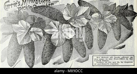 L’édition printemps 1906 du *Farm and Garden Annual* comprend des conseils saisonniers sur l’agriculture, le jardinage et les techniques agricoles pertinentes au début du XXe siècle. Banque D'Images