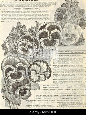 Ferme et jardin - printemps 1907 annuel (1907) (14597360657) Banque D'Images