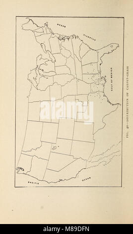 Les herbes de la ferme des États-Unis ; un traité pratique sur l'herbe, à l'ensemencement des cultures et la gestion des prairies et pâturages, la description des meilleures variétés, les semences et de ses impuretés, graminées pour (14800093183) Banque D'Images