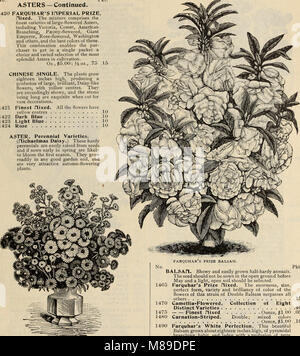 Le catalogue de semences Farquhar 1900 - plantes, bulbes, engrais, outils divers (1900) (14780584024) Banque D'Images