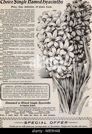 Gems floral pour l'hiver 1899 automne floraison- (1899) (20364461350) Banque D'Images