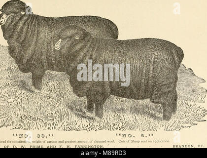 Cette nomenclature et annuaire des entreprises de 1881-82 fournit des informations détaillées sur le comté de Rutland, Vermont, y compris ses entreprises, ses résidents et ses institutions locales. Banque D'Images