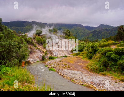 Caldeiras das Furnas, hot springs à Furnas, l'île de São Miguel, Açores, Portugal Banque D'Images