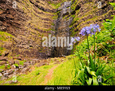 Cascata de Aveiro, cascade, Maia, l'île de Santa Maria, Açores, Portugal Banque D'Images