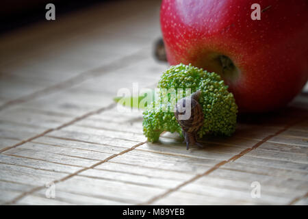 Assis sur l'escargot pomme rouge et de tronc d'arbre et rendez-vous au vert le brocoli, toile de bambou en bois, close-up animal fond. Banque D'Images