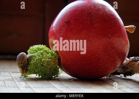 Assis sur l'escargot pomme rouge et de tronc d'arbre et rendez-vous au vert le brocoli, toile de bambou en bois, close-up animal fond. Banque D'Images